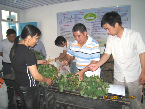 突出“科”字辦實事，服務農(nóng)民見成效—我院邀請浙江省農(nóng)科院蕃薯栽培專家為結對村推廣優(yōu)良品種