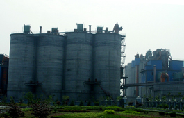 嘉興桐新100萬噸粉磨站